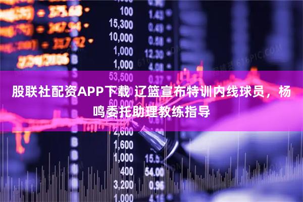 股联社配资APP下载 辽篮宣布特训内线球员，杨鸣委托助理教练指导