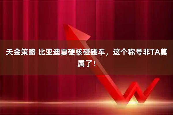 天金策略 比亚迪夏硬核碰碰车，这个称号非TA莫属了！