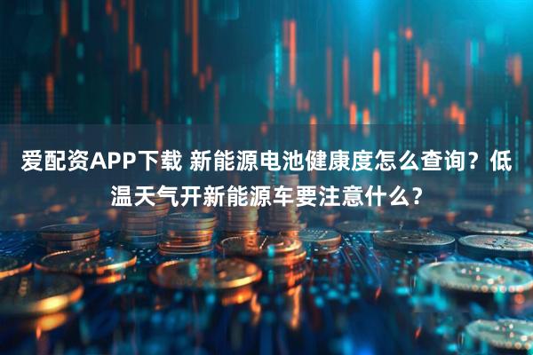 爱配资APP下载 新能源电池健康度怎么查询？低温天气开新能源车要注意什么？