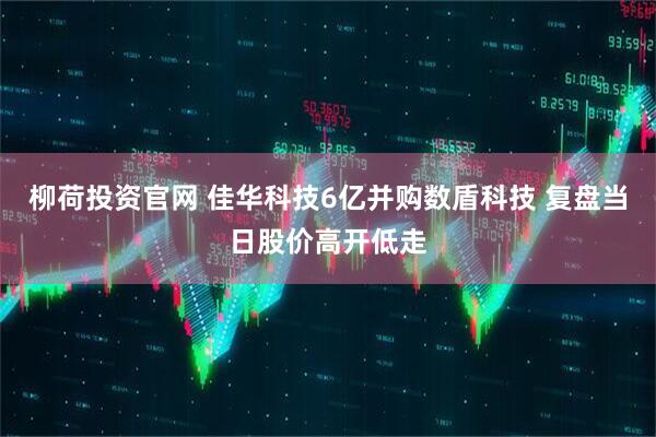 柳荷投资官网 佳华科技6亿并购数盾科技 复盘当日股价高开低走