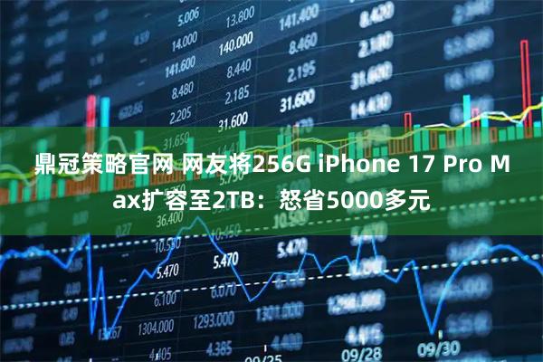 鼎冠策略官网 网友将256G iPhone 17 Pro Max扩容至2TB：怒省5000多元