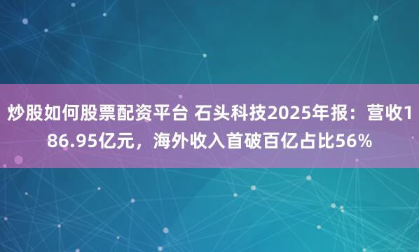 炒股如何股票配资平台 石头科技2025年报:营收186.95亿元,海外收入首破百亿占比56%