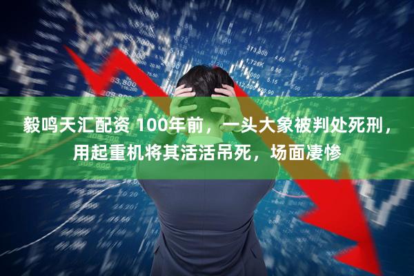 毅鸣天汇配资 100年前，一头大象被判处死刑，用起重机将其活活吊死，场面凄惨